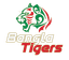 Bangla Tigers Flag