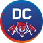 Delhi Capitals Women Flag