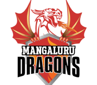 Team logo